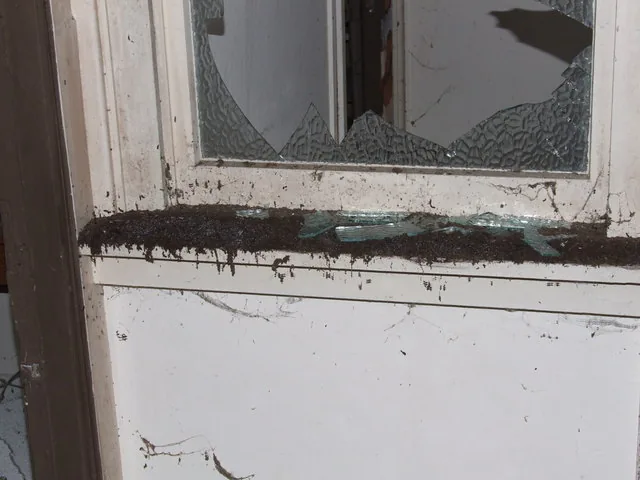 古い建物の窓枠にたまったコウモリのフン。黒い粒が帯のように積もっている