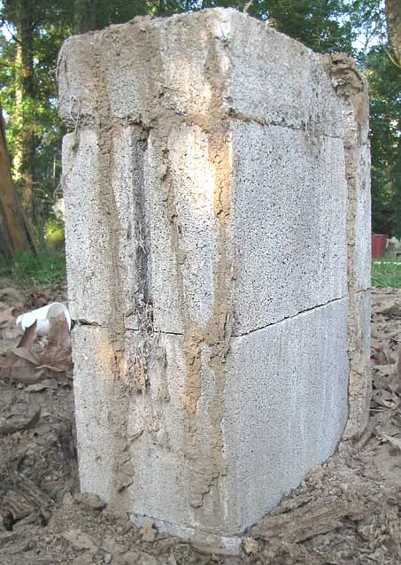 古い建物のコンクリートの基礎に、下から上へ伸びる茶色い土の筋（蟻道）が何本もある